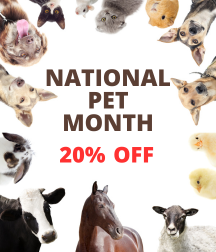 National Pet Month Sale