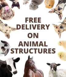 Free Delivery on Animal Structures