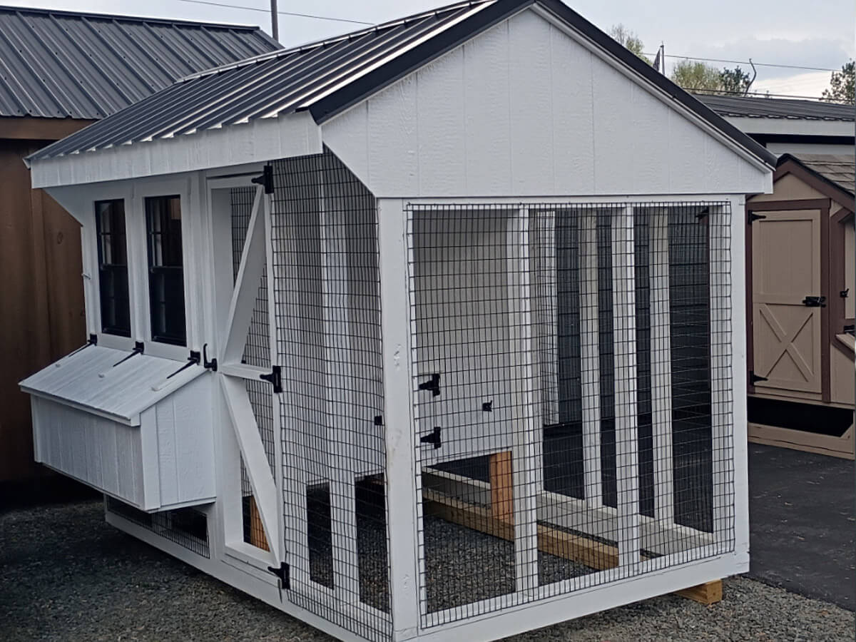 6x10 Chicken Coop Combo (#ZC206)