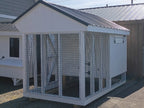 6x10 Chicken Coop Combo (#ZC206)