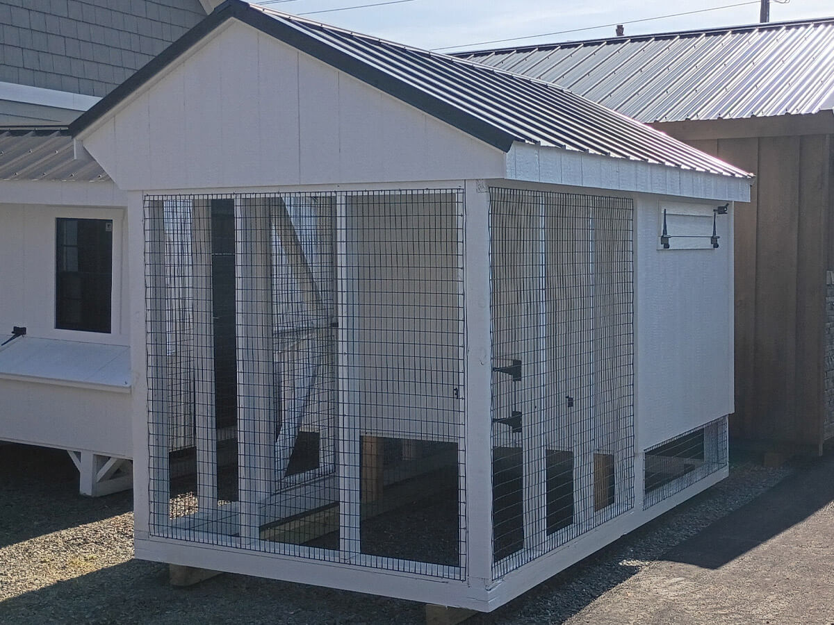 6x10 Chicken Coop Combo (#ZC206)