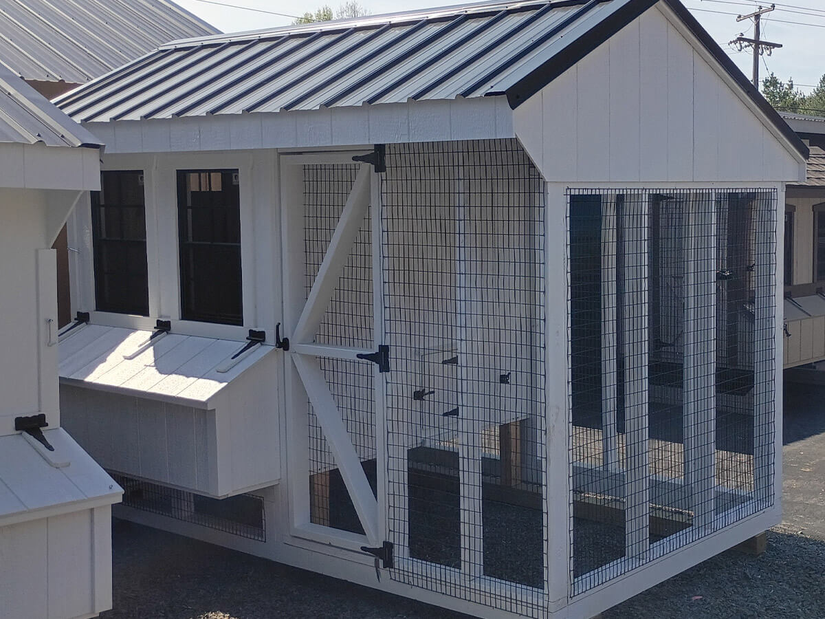 6x10 Chicken Coop Combo (#ZC206)