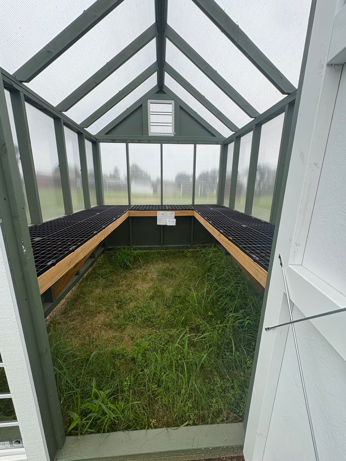8x10 Greenhouse (#4093)