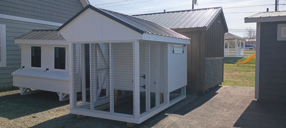 6x10 Chicken Coop Combo (#ZC206)